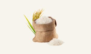 rice2
