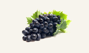 Grapes5